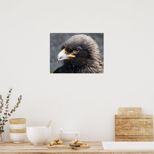 ELGF POSTER (Keuken)