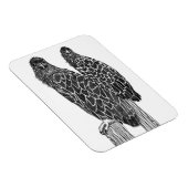 ELGF-SIBLEMENES VOOR LOUNGING + GEVIST OP DE POND MAGNEET (Rechterzijde)