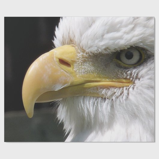 ELGF-VOGELS CADEAUPAPIER (Vlak)