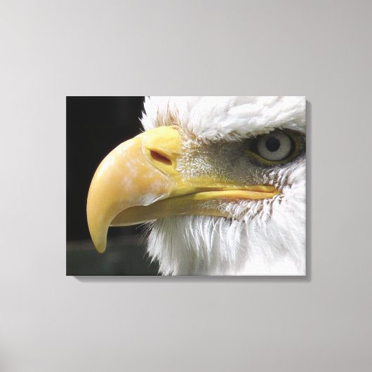 ELGF-VOGELS CANVAS AFDRUK (Voorkant)