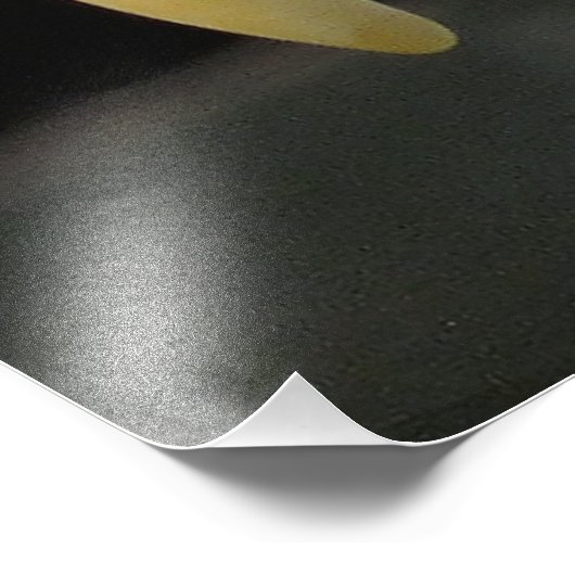 ELGF-VOGELS FOTO AFDRUK (Hoek)