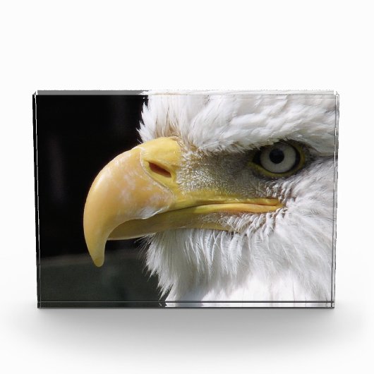 ELGF-VOGELS FOTOBLOKKEN (Voorkant)