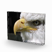 ELGF-VOGELS FOTOBLOKKEN (Rechts)