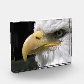 ELGF-VOGELS FOTOBLOKKEN (Links)