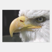 ELGF-VOGELS INPAKPAPIER VEL (Voorkant)