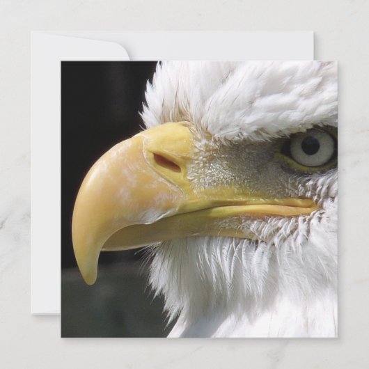 ELGF-VOGELS KAART (Voorkant)