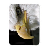 ELGF-VOGELS MAGNEET (Verticaal)