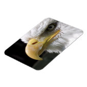 ELGF-VOGELS MAGNEET (Linkerzijde)