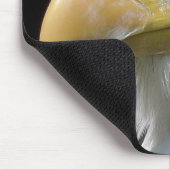 ELGF-VOGELS MUISMAT (Hoek)