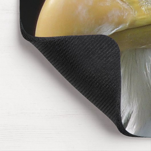 ELGF-VOGELS MUISMAT (Hoek)