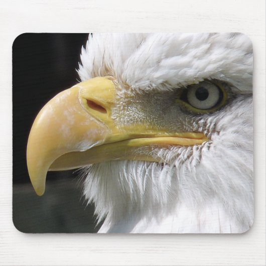 ELGF-VOGELS MUISMAT (Voorkant)