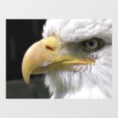 ELGF-VOGELS RAAMSTICKER (Vel)