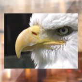 ELGF-VOGELS RAAMSTICKER (Vel 2)