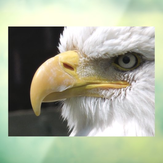 ELGF-VOGELS RAAMSTICKER (Vel 3)