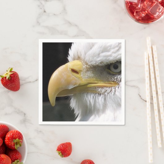 ELGF-VOGELS SERVET (Insitu)