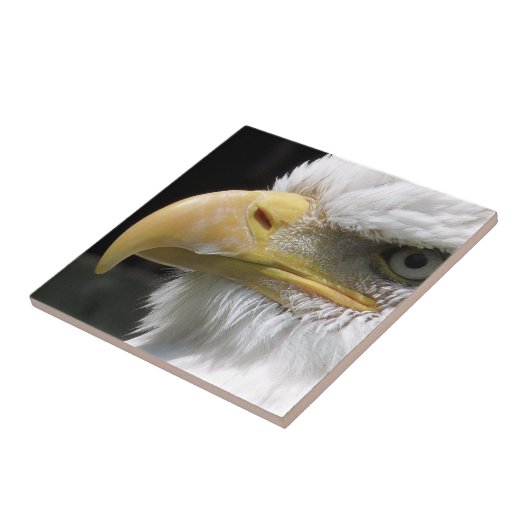 ELGF-VOGELS TEGELTJE (Zijkant)