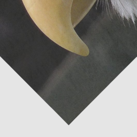 ELGF-VOGELS TISSUEPAPIER (Detail)