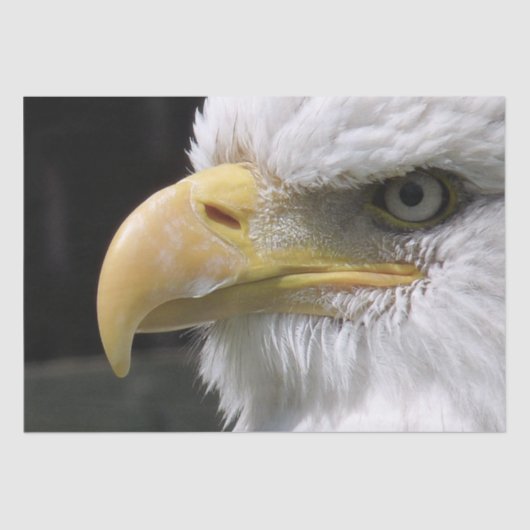 ELGF-VOGELS TISSUEPAPIER (Voorkant)