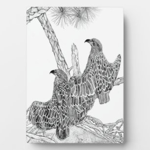 ELGF'S HARRIET + M E17 + E18 WORDT EEN GROOT ELGF FOTOPLAAT