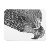 ELGF'S HARRIET + M FLURRY OF FEATHERS & FRIENDS MAGNEET (Horizontaal)