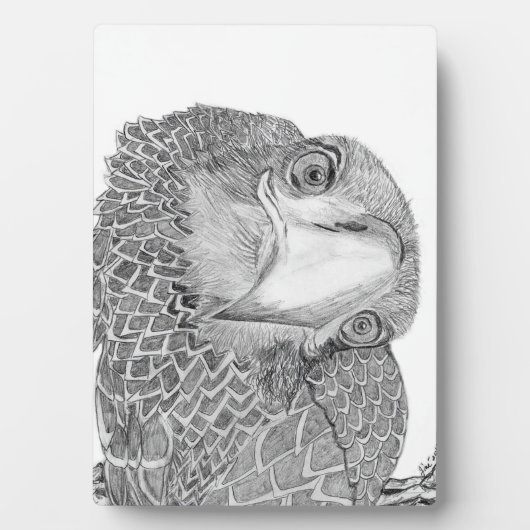 ELGF'S HARRIET + M HOME FAMILIE TREE E9 SOARS FOTOPLAAT (voorkant)