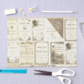 Elgin Illinois 1880's Sepia Club Invitations Party Tissuepapier (Craft)