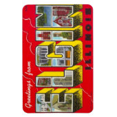 Elgin Illinois IL grote letter Briefkaart magneet! Magneet (Verticaal)