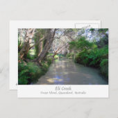 Eli Creek, Fraser Island, Australië - Briefkaart (Voorkant / Achterkant)