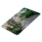 Eli Creek Fraser Island, Australië, Premium Magnet Magneet (Linkerzijde)