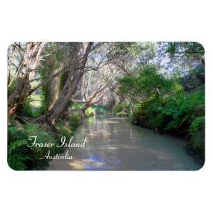 Eli Creek Fraser Island, Australië, Premium Magnet Magneet