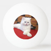 Eli - Perzische kat Ping Pong Ball (Voorkant)