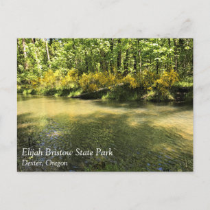 Elijah Bristow State Park, Dexter, Oregon Briefkaa Briefkaart