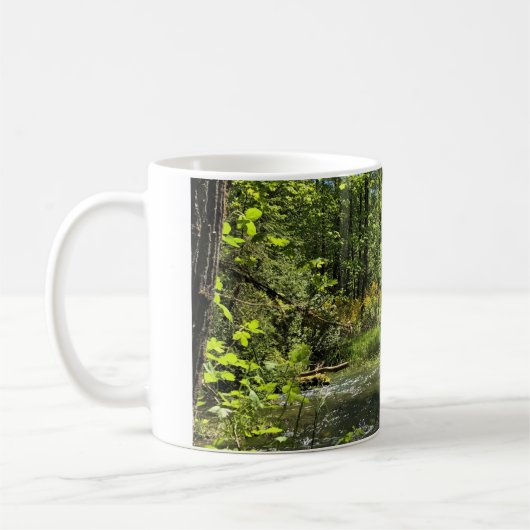 Elijah Bristow State Park, Dexter, Oregon Koffiemok (Links)