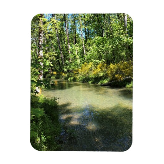 Elijah Bristow State Park, Dexter, Oregon Magneet (Verticaal)