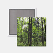 Elijah Bristow State Park, Dexter, Oregon Magneet (Voorkant / Achterkant)