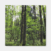 Elijah Bristow State Park, Dexter, Oregon Magneet (Voorkant)