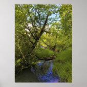 Elijah Bristow State Park, Dexter, Oregon Poster (Voorkant)