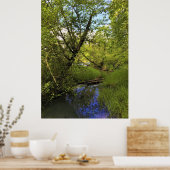 Elijah Bristow State Park, Dexter, Oregon Poster (Keuken)