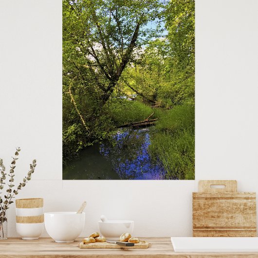 Elijah Bristow State Park, Dexter, Oregon Poster (Keuken)