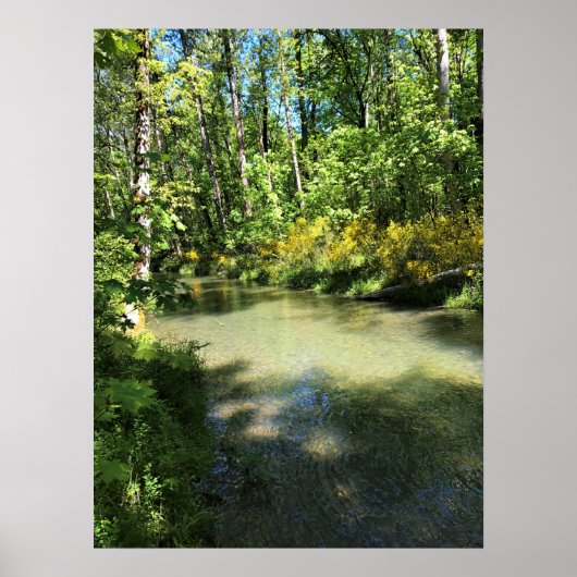 Elijah Bristow State Park, Dexter, Oregon Poster (Voorkant)