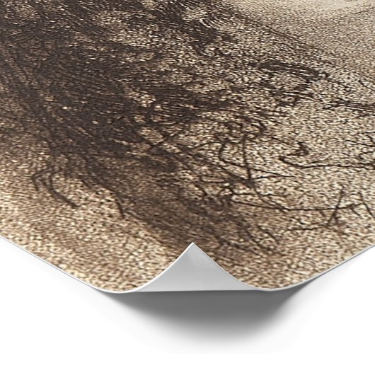 Elisabeth van Beieren - Empress Sisi - Hapsburgs Poster (Hoek)