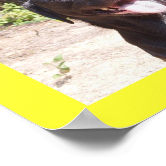 Elise 2006 poster (Hoek)