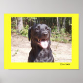 Elise 2006 poster (Voorkant)