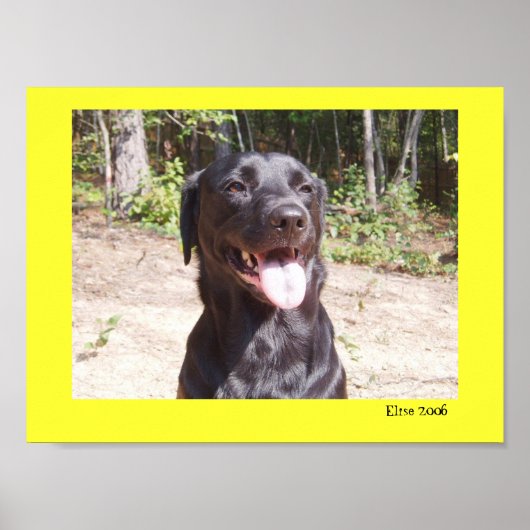 Elise 2006 poster (Voorkant)