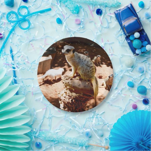 Eliza Queen of the Meerkats, Borden van papierfees Papieren Bordje (Feest)