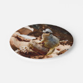 Eliza Queen of the Meerkats, Borden van papierfees Papieren Bordje (Gekanteld)