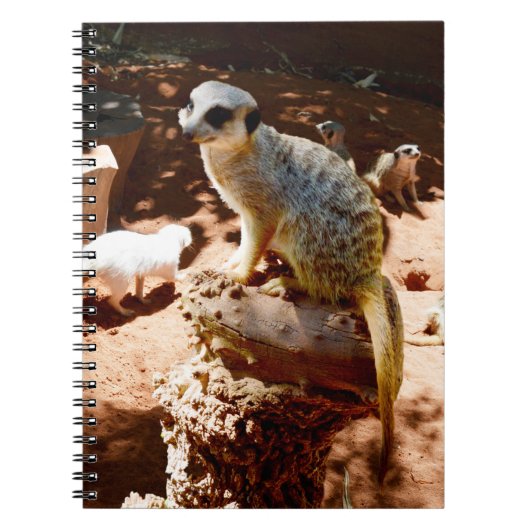 Eliza Queen of the Meerkats, Notitieboek (Voorkant)