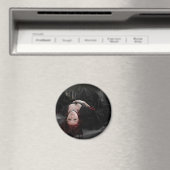 Elizabeth Bathory Magnet (Insitu (Vaatwasser))