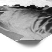 Elizabeth Cady Stanton Poster (Hoek)