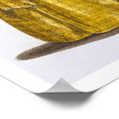 Elizabeth I (1530-1603) (gekleurd) Poster (Hoek)